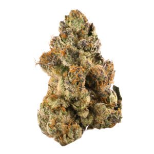 Buy gelato kush poland